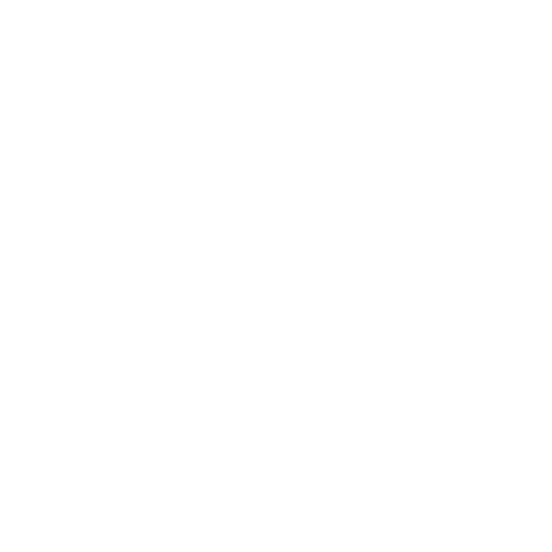 Firework Ventures logo