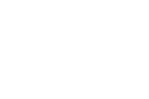 Village Capital logo