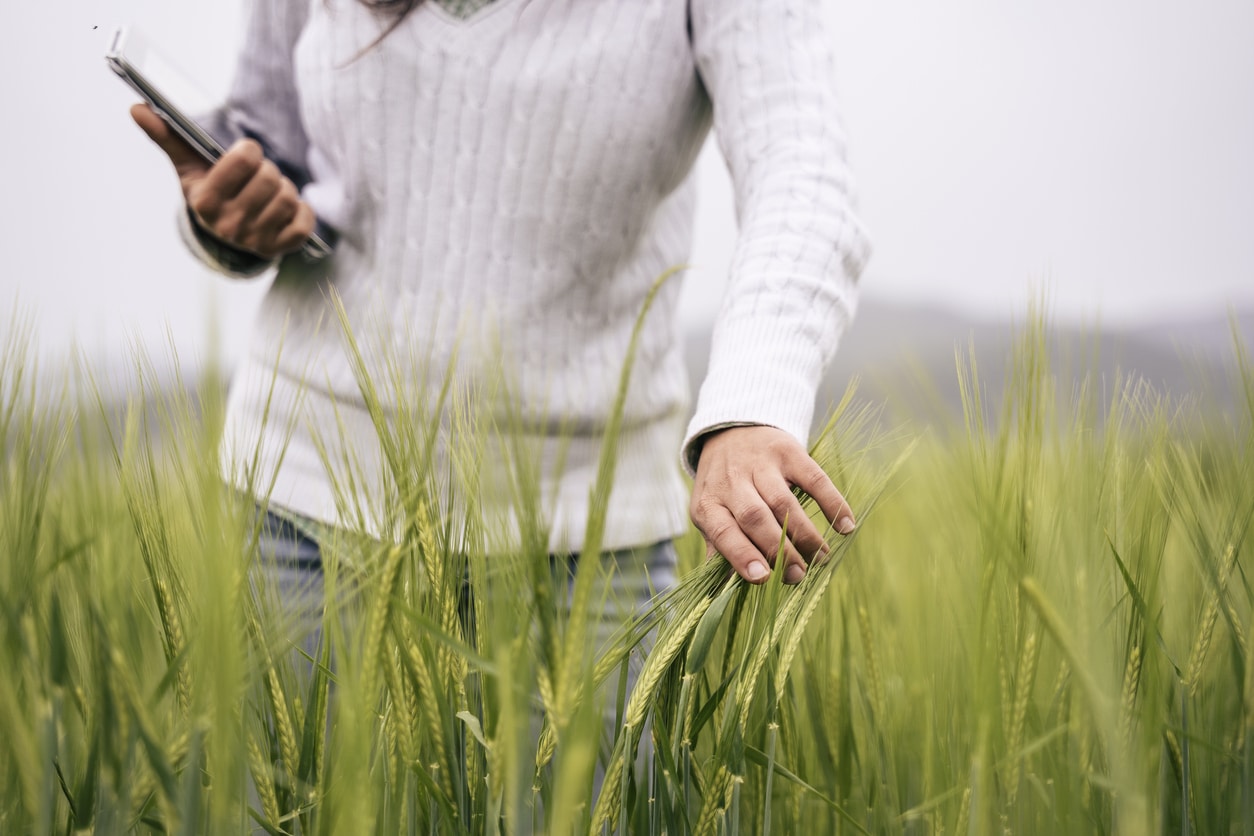 woman touching grass in field