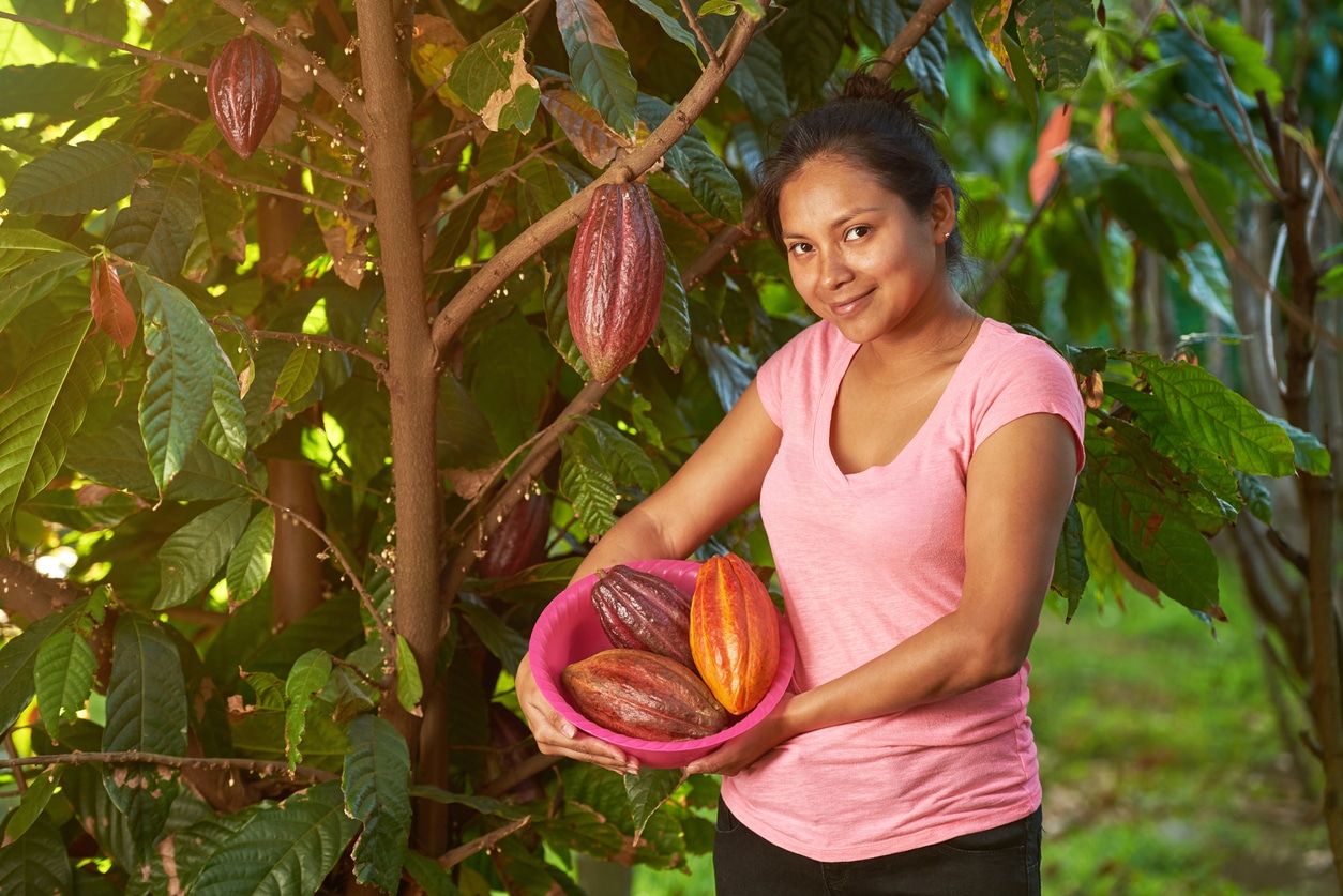 woman holding cacao pods