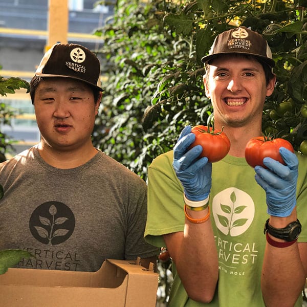 Vertical harvest employees holding produce